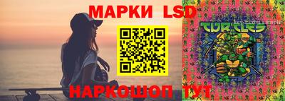 дживик Гай