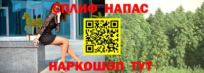 мяу мяу мука Гагарин