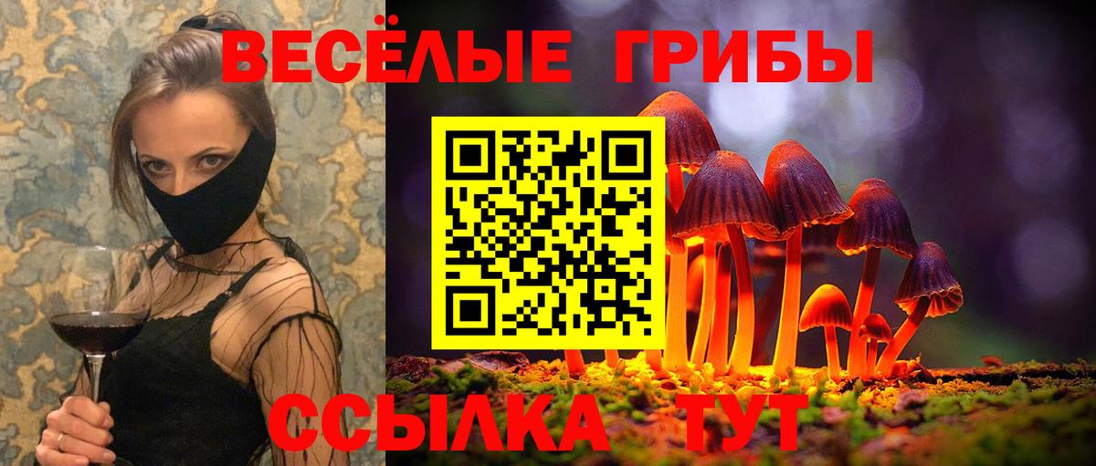 Галлюциногенные грибы Magic Shrooms  Вход с VPN  Джанкой 