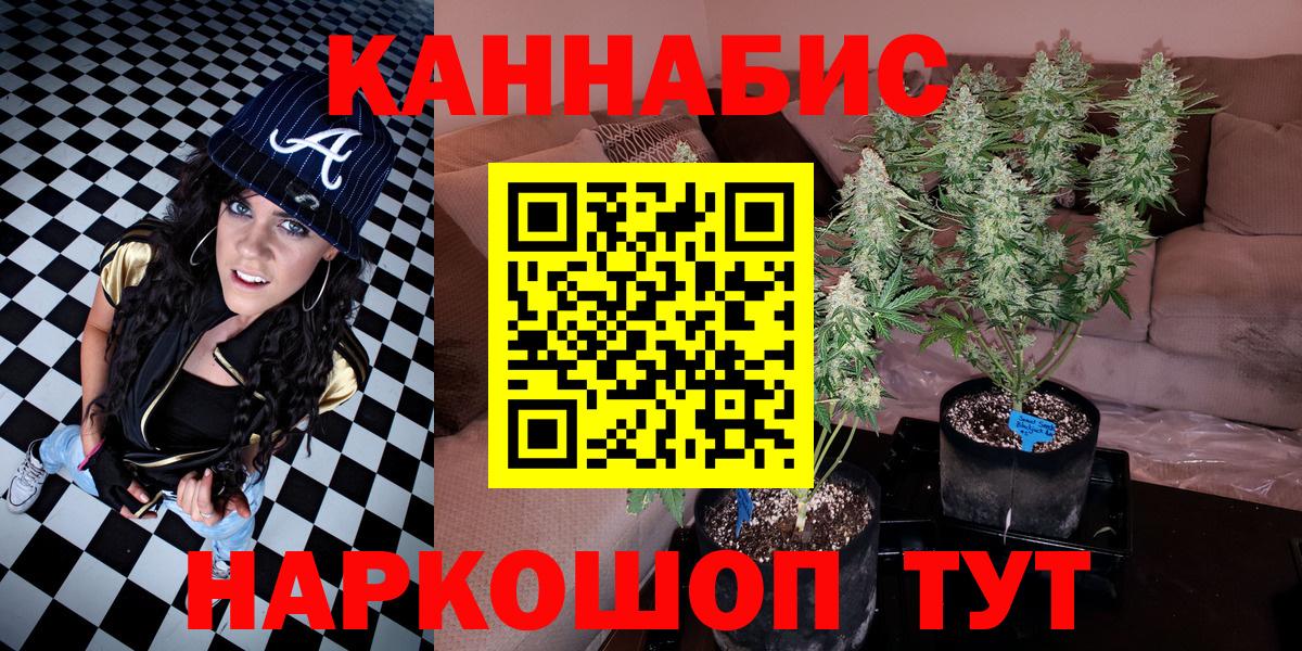 Бошки марихуана конопля  Бошки марихуана ГИДРОПОН  Джанкой 